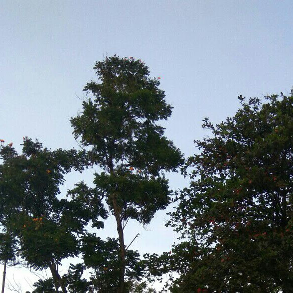 Bahasa Cinta Kita Berbeda