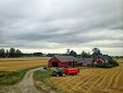 Harvesting in Finland