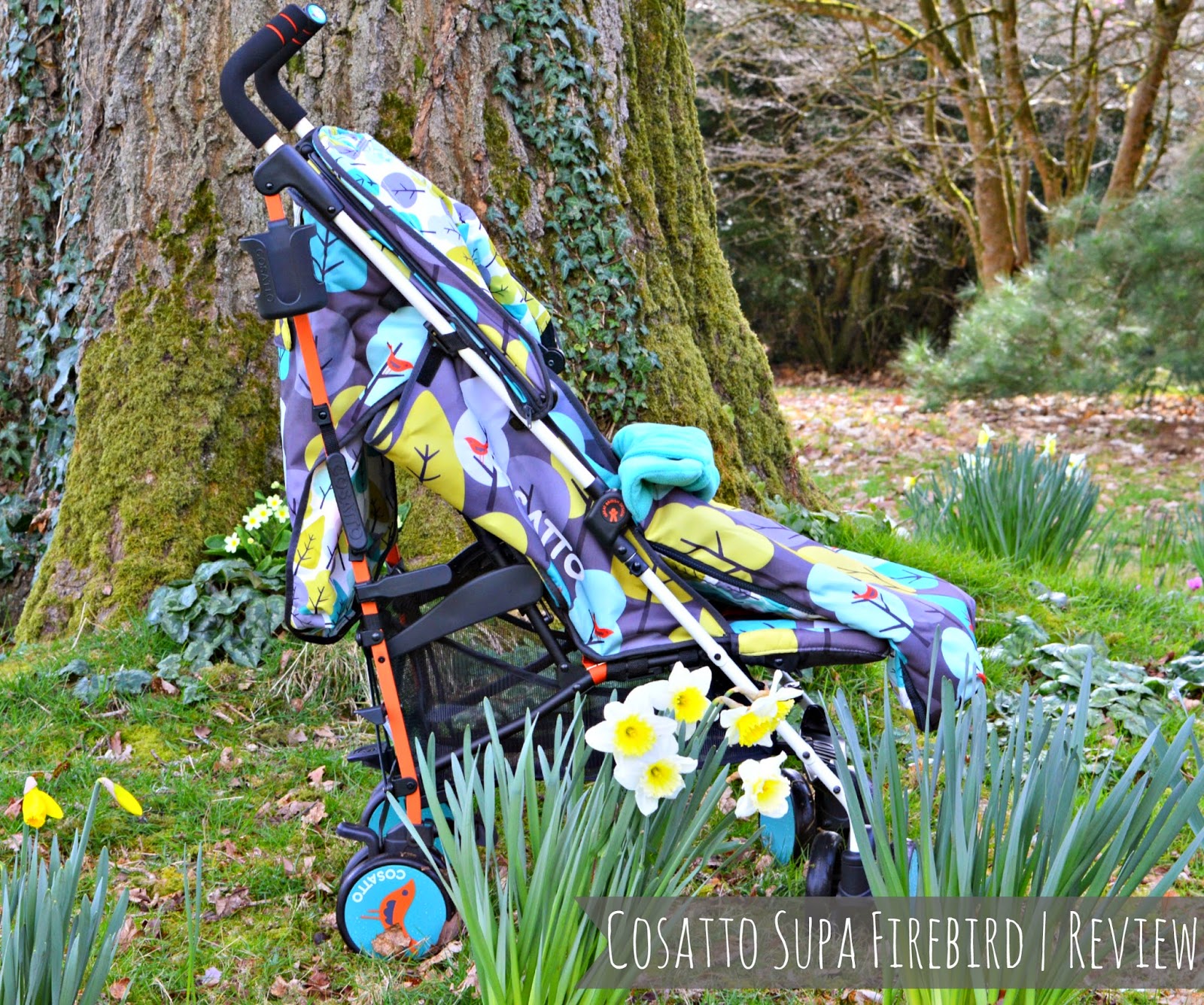 cosatto flower stroller