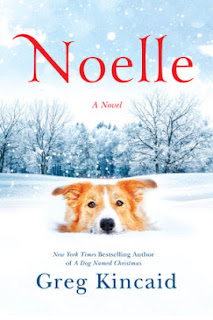 Noelle by Greg Kincaid Book Review
