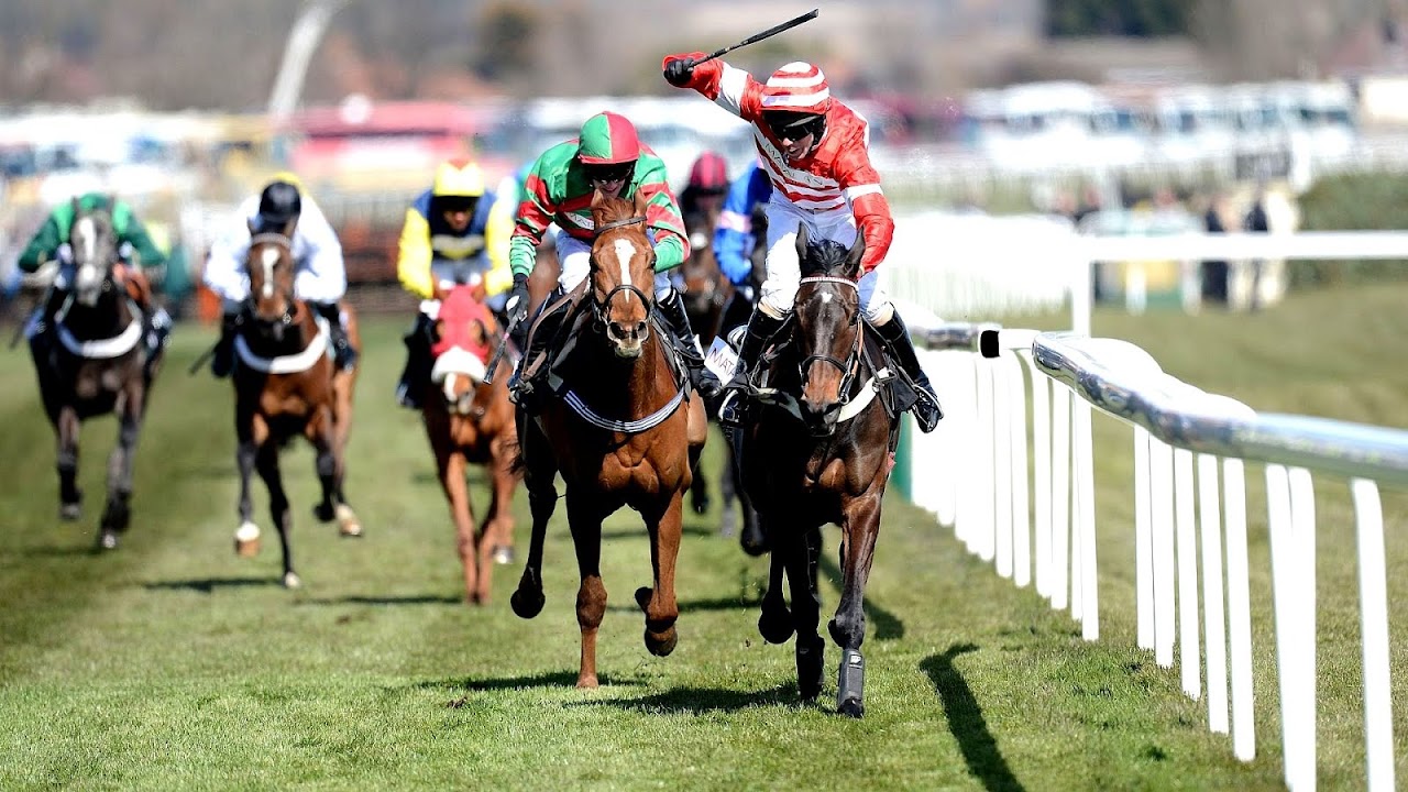 Betting Tips Horses Betting Tips Horses