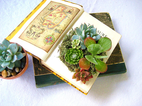 Rooted in Succulents - creative succulent plant arrangements