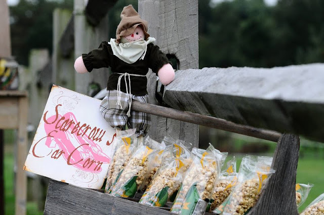 Kara s Party Ideas Vintage Wizard Of Oz Party   - 10