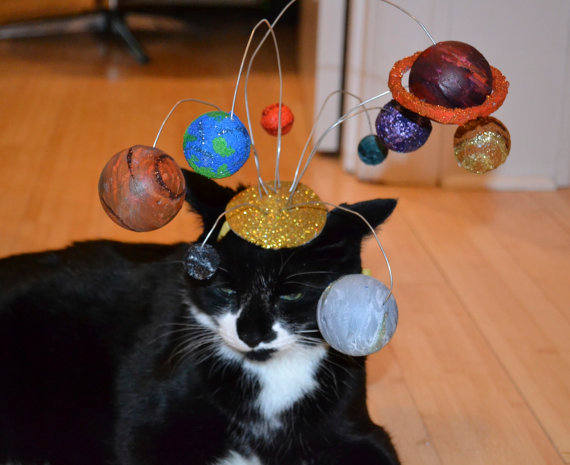 Etsy Hatter Will Have Your Cat Looking