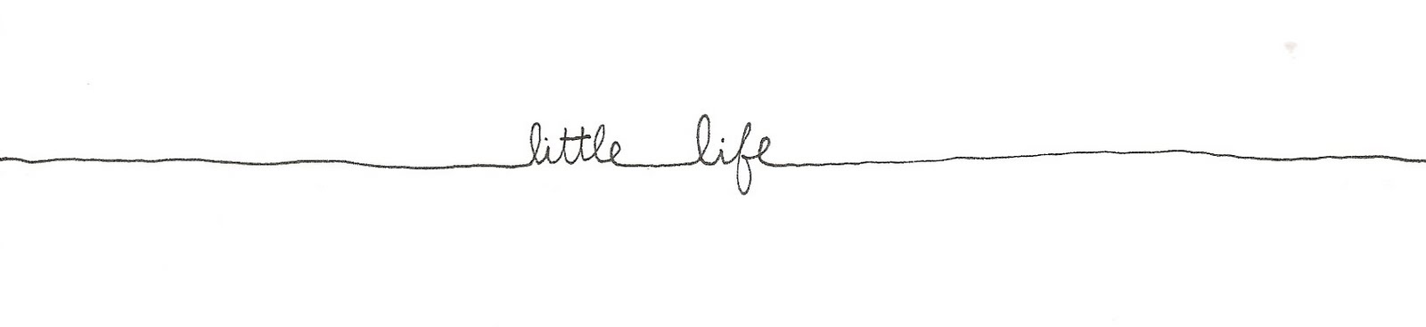 Little Life