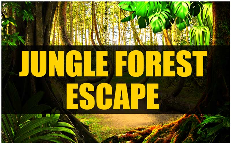 play-mirchigames-mirchi-jungle-forest-escape-walkthrough
