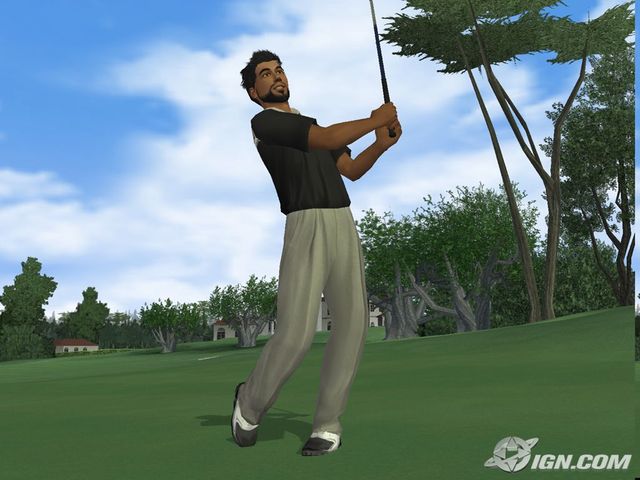 Woods Woods