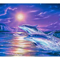 sin letras imagenes perfil frases whatsapp bonitas chidas delfines imagen amor fantasia brillante paisaje