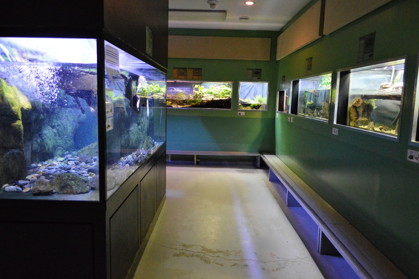 Zoo le zoo de Montréal