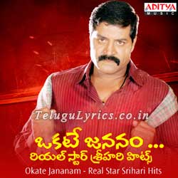 Okate Jananam Song Image Okate jananam song telugu lyrics image, poster, photo, cd covers, pictures, pics, dvd labels