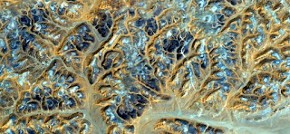 Stone plant fantasy,Abstract Naturalism,abstract photography deserts of Africa from the air,abstract surrealism,mirage in desert,fantasy forms of sand in the desert,plants,flowers, leaves,roots stone Stone plant fantasy,Abstract Naturalism,abstract photography deserts of Africa from the air,abstract surrealism,mirage in desert,fantasy forms of sand in the desert,plants,flowers, leaves,roots stone
