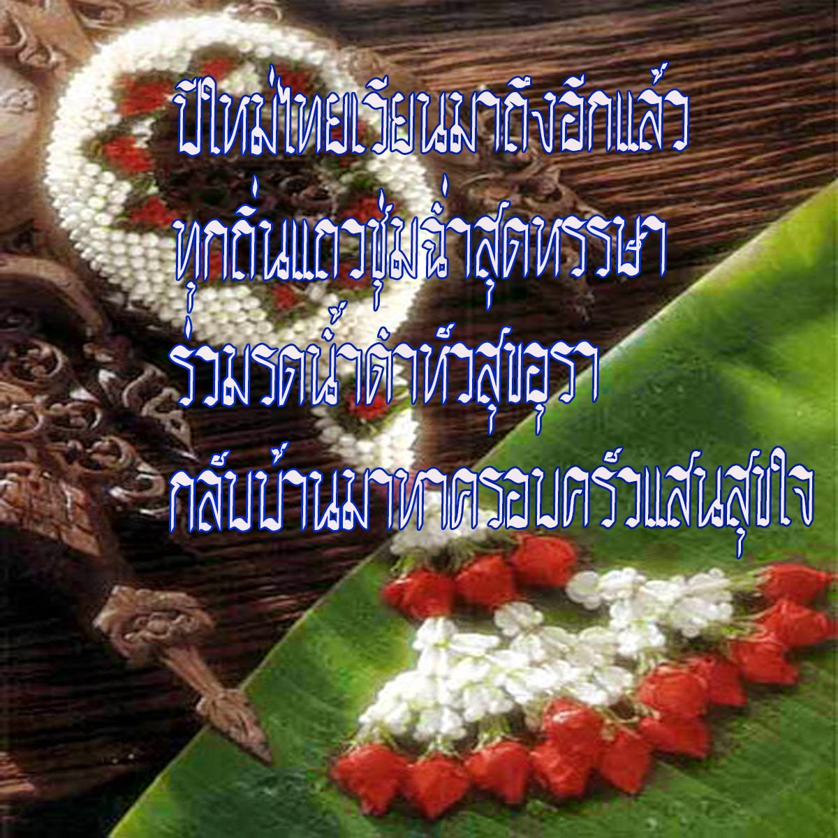 My Image 49