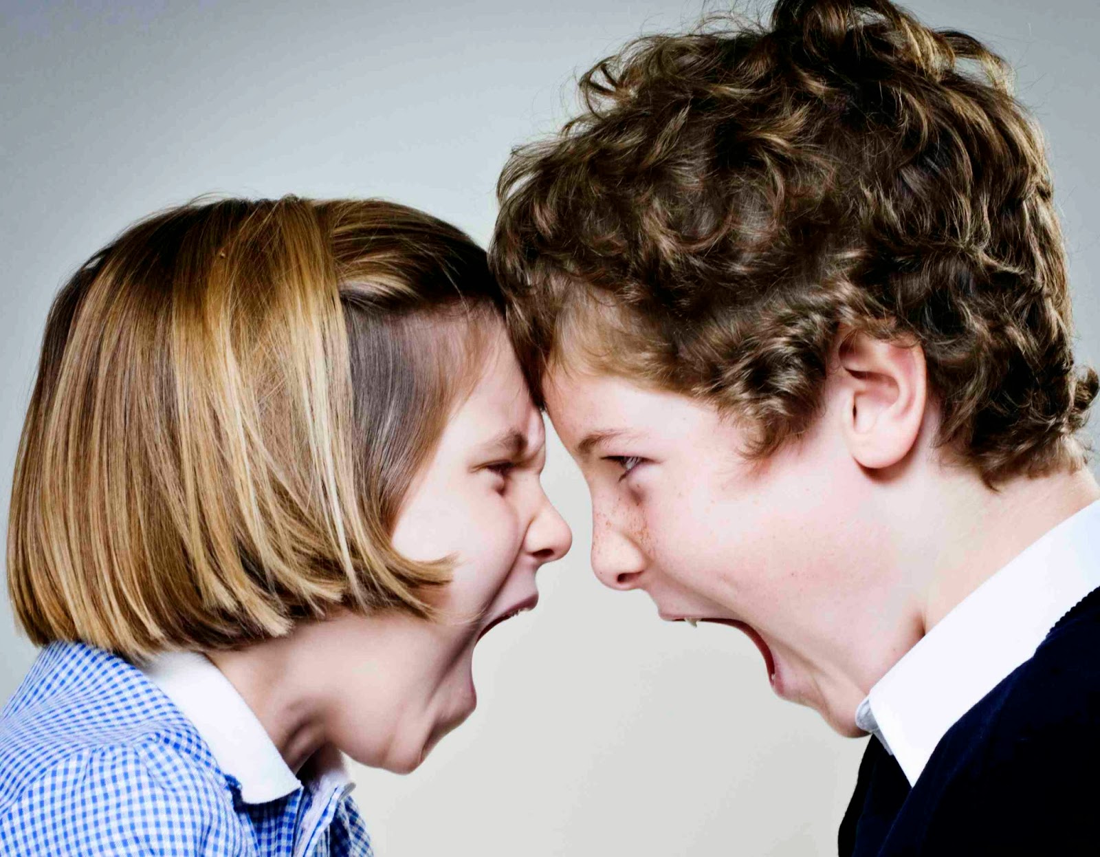 Fairmont Blog HOW TO manage sibling rivalry