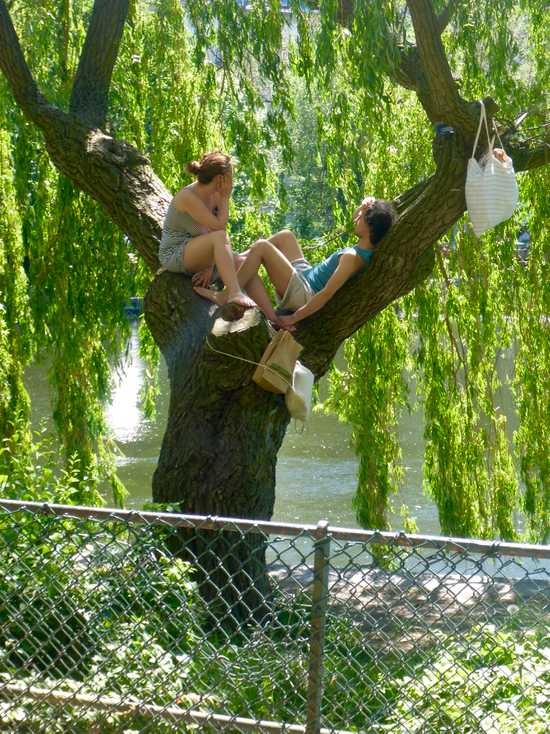 Dolmetscher Berlin 01 05 17 01 06 17