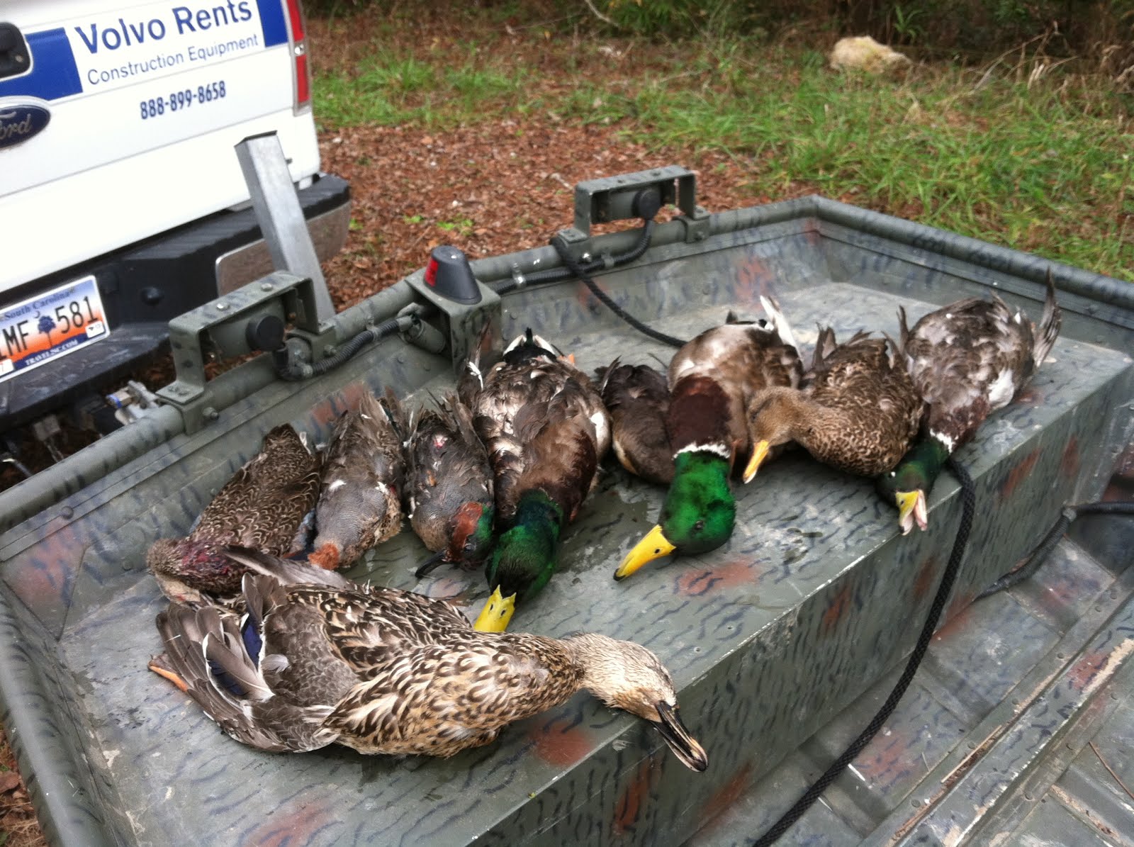south-carolina-duck-hunts-january-2013