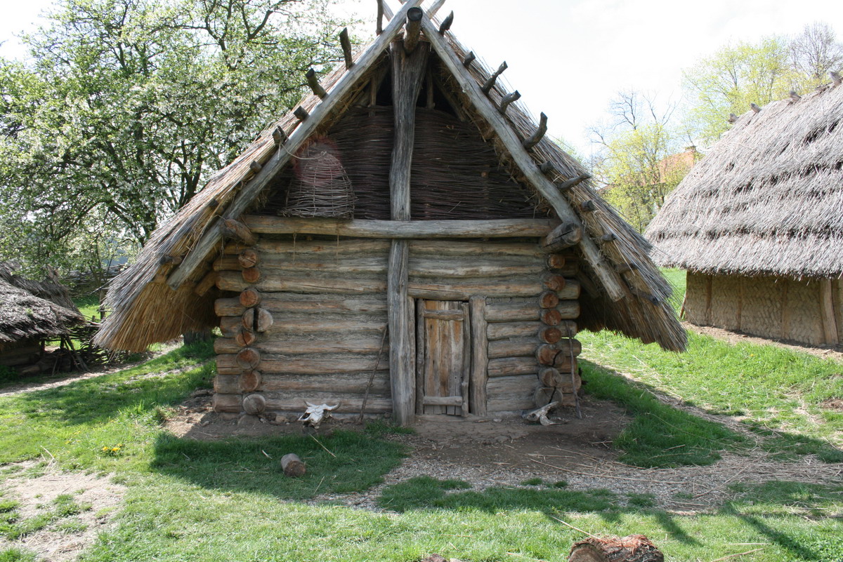 Building Logs Uk Building Logs Uk