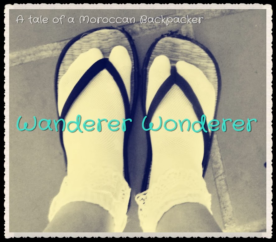 Wanderer Wonderer 