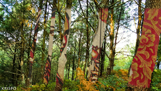 bosque con arboles pintados