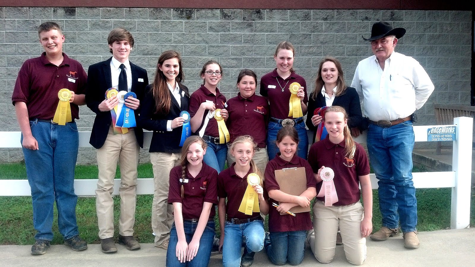Hippology 4h Horse Judging Horse Choices