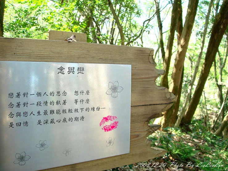 桃園楊梅親子住宿度假|東森山林渡假酒店