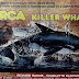 WILL SAMPSON DOUBLE CREATURE 'ORCA' & 'WHITE BUFFALO'