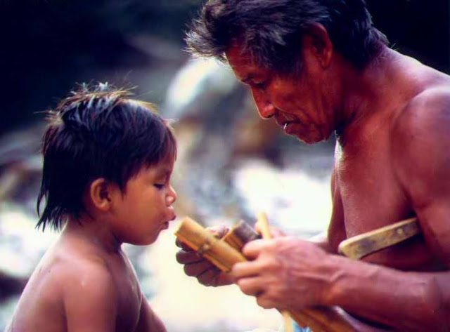 reciprocity in aboriginal australian communities essay Aboriginal spirituality: aboriginal philosophy, the basis of aboriginal social and emotional wellbeing. reciprocity in aboriginal australian communities essay Aboriginal spirituality: aboriginal philosophy, the basis of aboriginal social and emotional wellbeing.