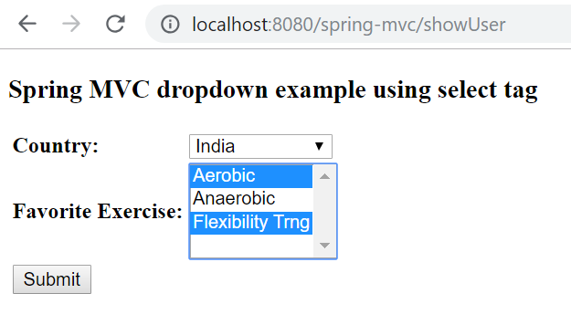 Spring MVC dropdown using select tag