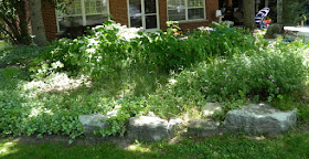 York Mills St. Andrews front garden renovation before by Paul Jung Gardening Services Toronto