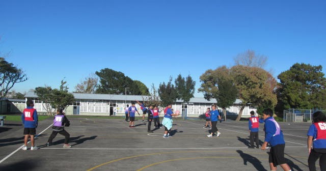Image result for netball glenbrae school
