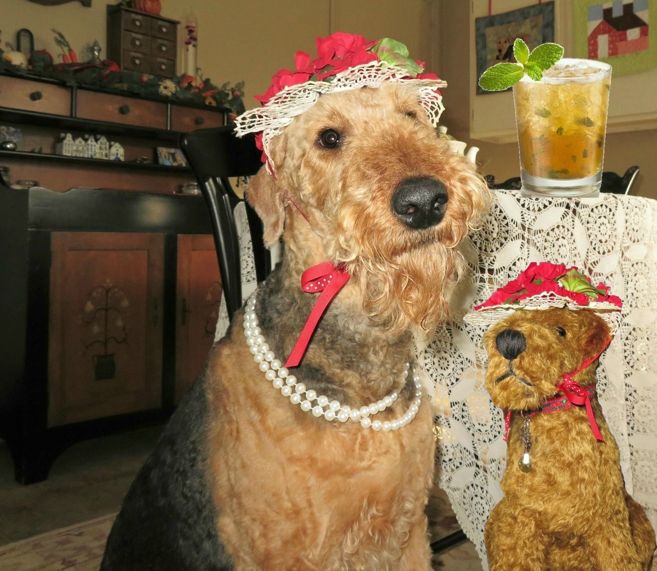 Molly the Airedale Kentucky Derby