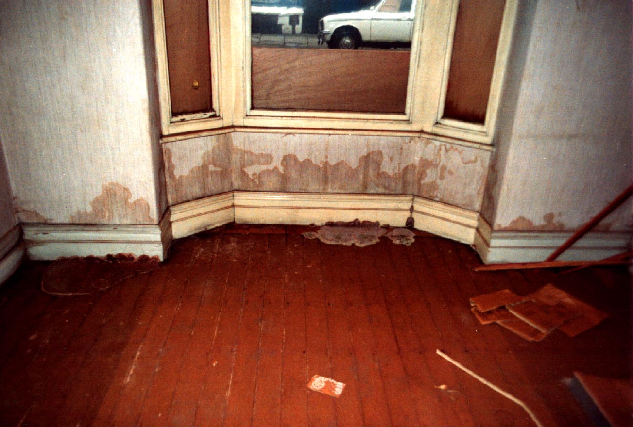  5 key questions about dry rot treatmentPeter Cox Building Services