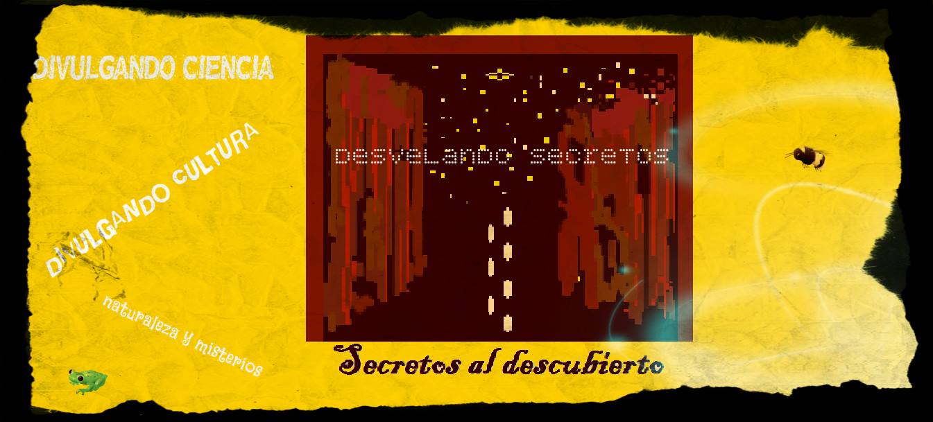 Secretos al Descubierto Secretos al Descubierto