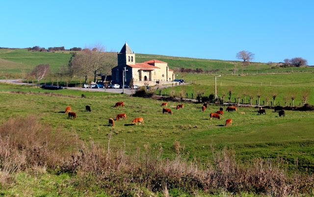 Iglesia entre verdes praderas y vacas