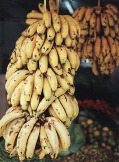 هل تعلم اجابة لغز اكبر من ابوه بعامين واصغر من امه بعامين ومعه خال وعمتين يولد بالسنة مرتين