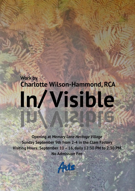 In/Visible, visual art exhibition by Charlotte Wilson-Hammond.