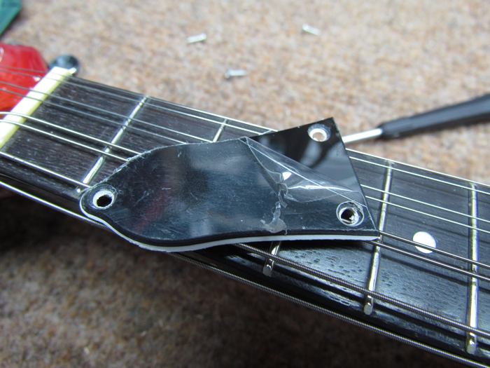 Eastwood 'Ricky' Electric Mandolin Setup Crawls Backward (When Alarmed)