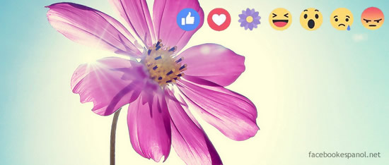 Los nuevos Stikers con los que Facebook celebró el día de las madres