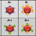 Interesting Facts About Your Blood Type That You Need To Know.