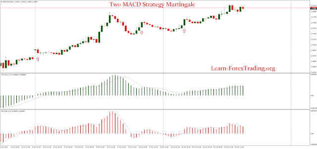 Two MACD Strategy Martingale