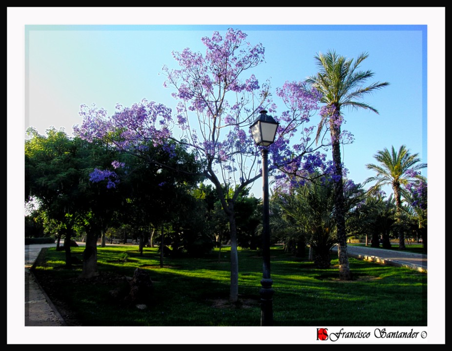 Almería mi tierra: Parque el Boticario