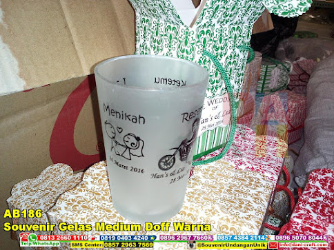 jual Souvenir Gelas Medium Doff Warna
