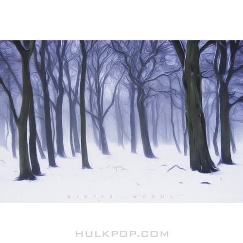 Mvendor – Winter Woods – Single