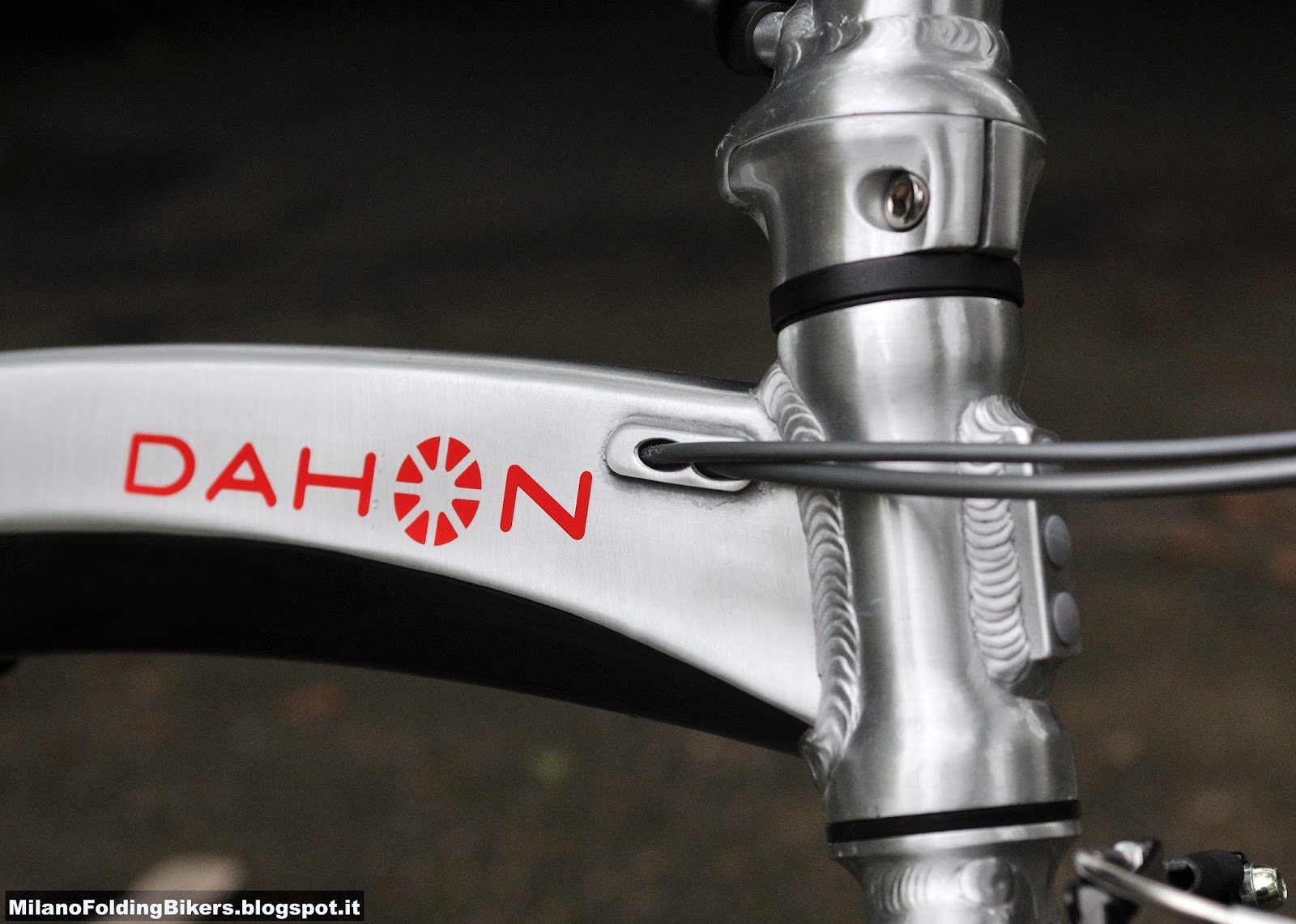 dahon vigor