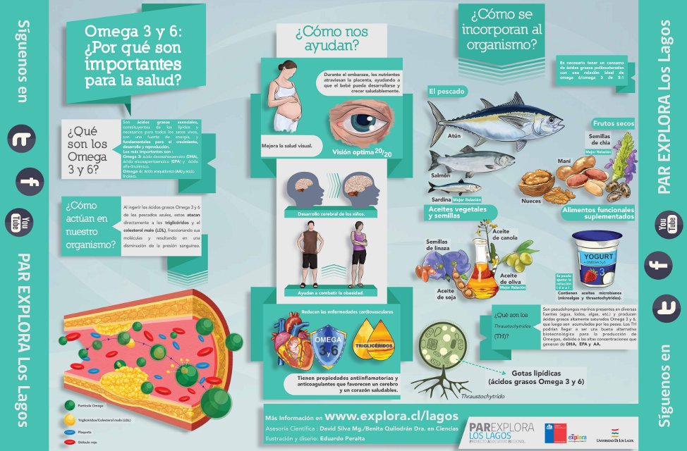 La importancia de los Omega 3 y 6