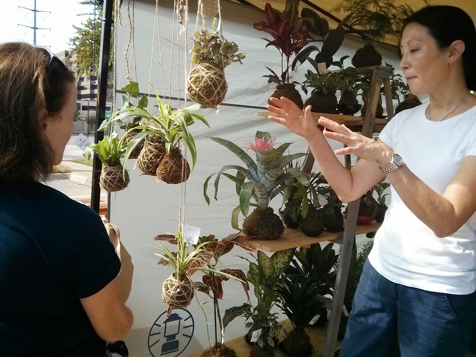 肛門の起源の可能性についてのいくつかの好奇心を調べてください。