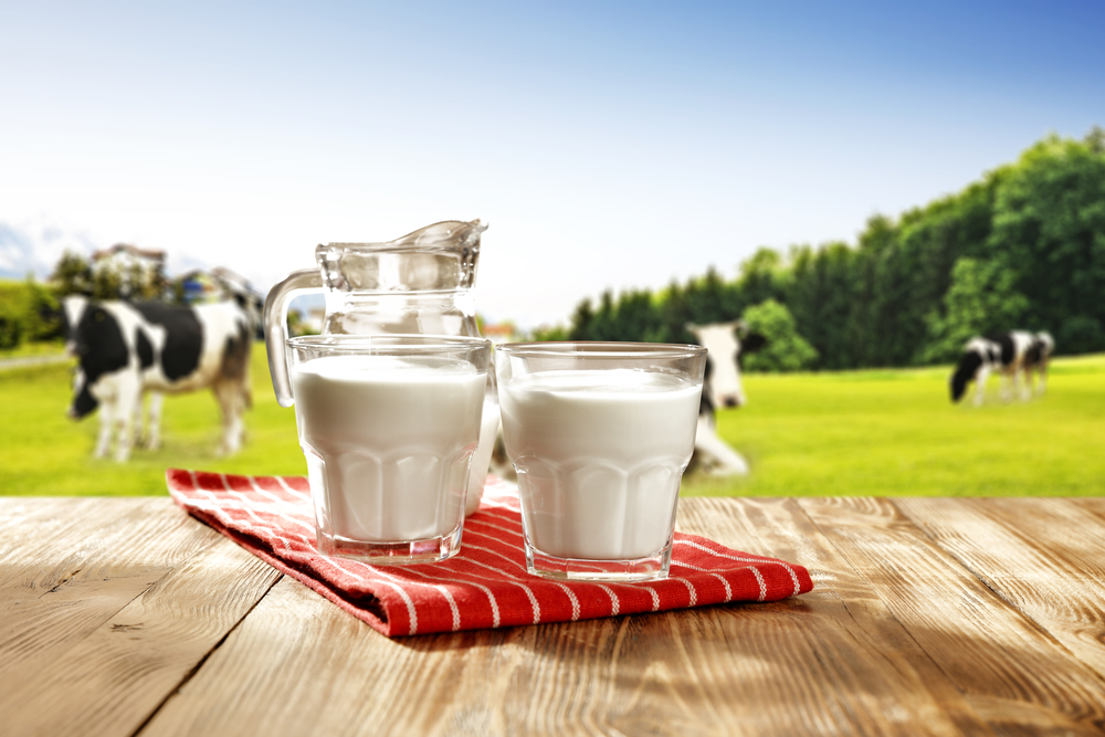 Best Quality Cow Milk Online