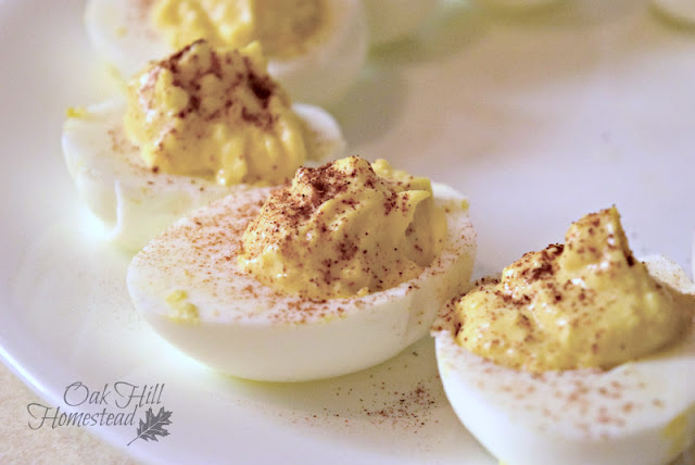 Classic deviled eggs: delicious ways to use extra eggs.