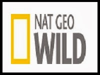Nat Geo Wild Tv Live Stream ~ World Wide Channel TV Live