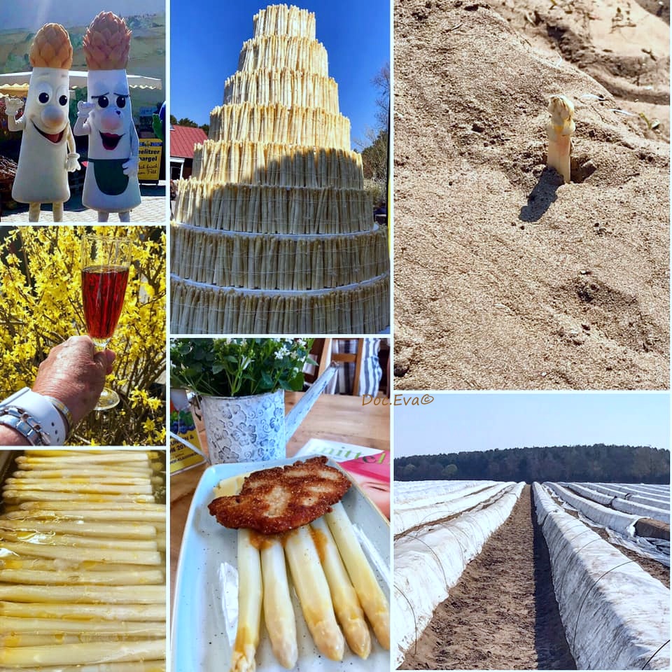 An Der Gedenkstatte Berliner Mauer Frische Brise Bloglovin