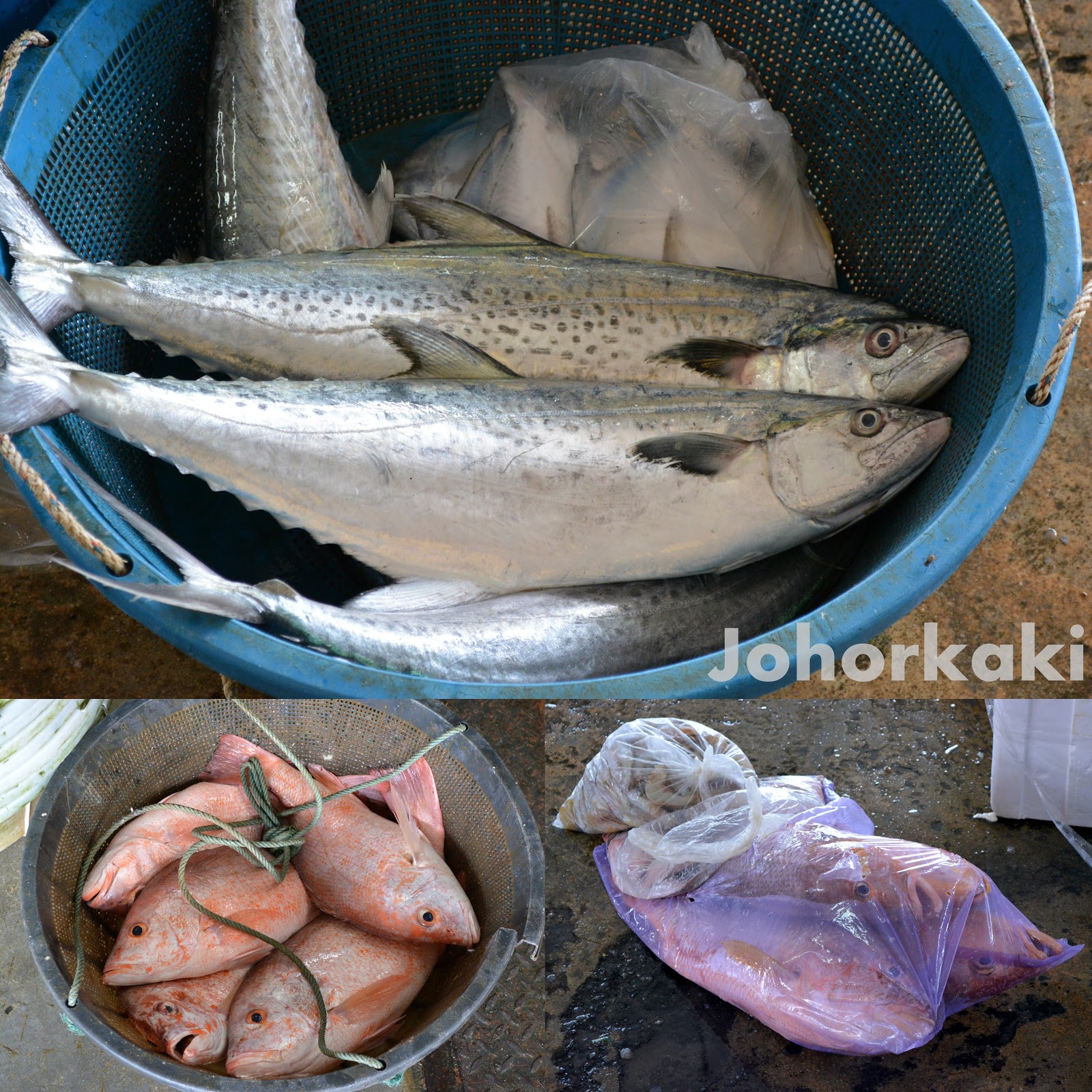 Pontian Wholesale Fish Market Update 2018 Tony Johor Kaki Travels for